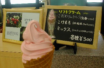 ���������\�t�g