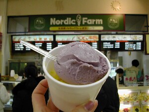 �R�C�`�S���p���v�L��