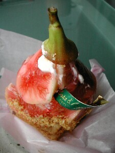 �R�[�g�_�W���[���̂��������p�C