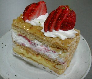 �R�[�g�_�W���[���̃~���t�B�[��