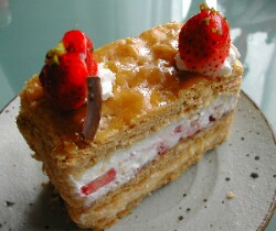 �R�[�g�_�W���[���̃i�|���I��