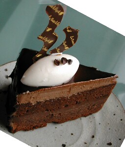 �R�[�g�_�W���[���̃k�[�x���V���R��