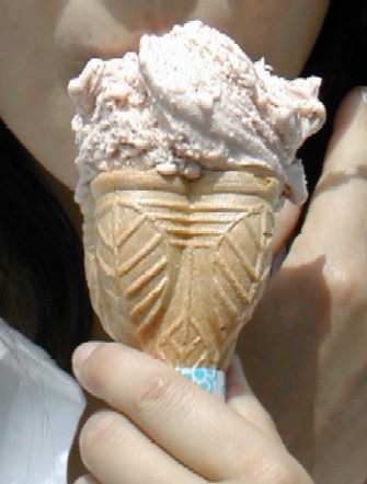 �͂Ȃ܂߃\�t�g