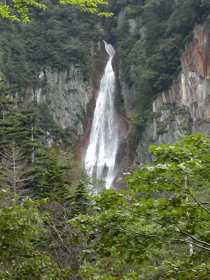 �����̑�