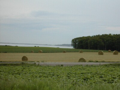 �T���}��