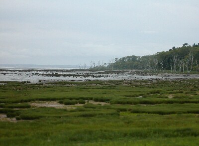 �g�h�����Ǝ��n