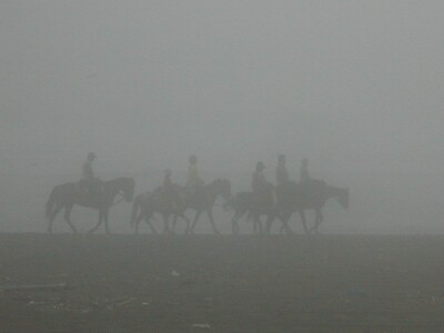 ���c�S���E�H