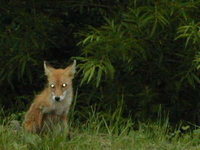 ��������