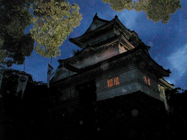 ���c����