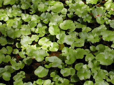 �ɓ��킳��