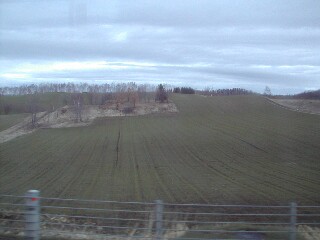 �ł�������