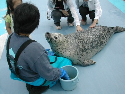 ���܂����