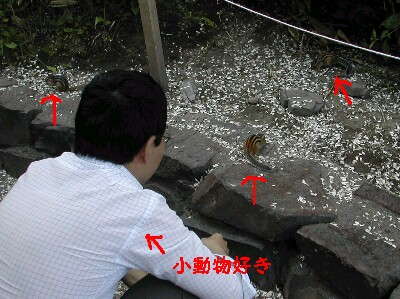 �肷��������