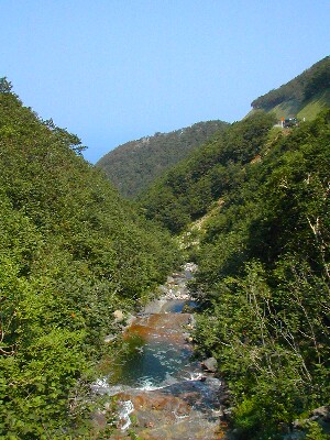 �J���C���b�J