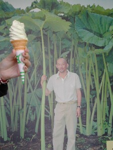 ���p�Ԃ��Ɛ�t�Ɂ[����