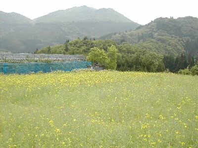 ��͍�������