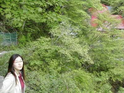 �ꌩ���̐Ԃ�����