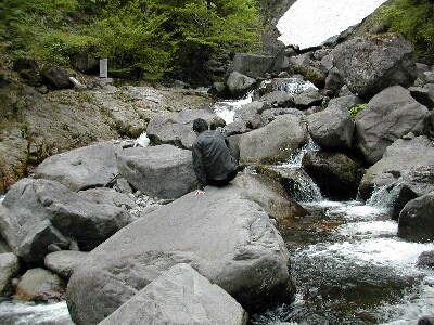 �����̔�